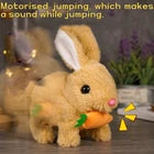 🐰 أرنب المرح 🐰