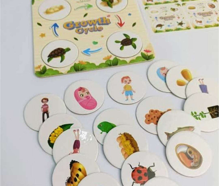 🦋🌱 بازل مراحل النمو التعليمية للأطفال